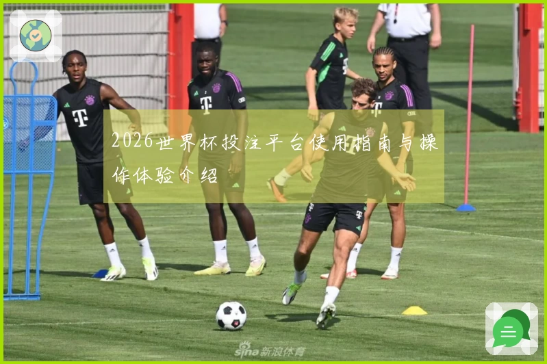 2026世界杯投注平台使用指南与操作体验介绍