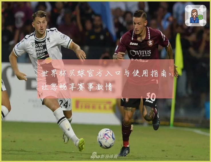 世界杯买球官方入口与使用指南，让您畅享赛事激情