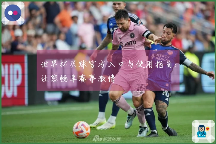 世界杯买球官方入口与使用指南，让您畅享赛事激情
